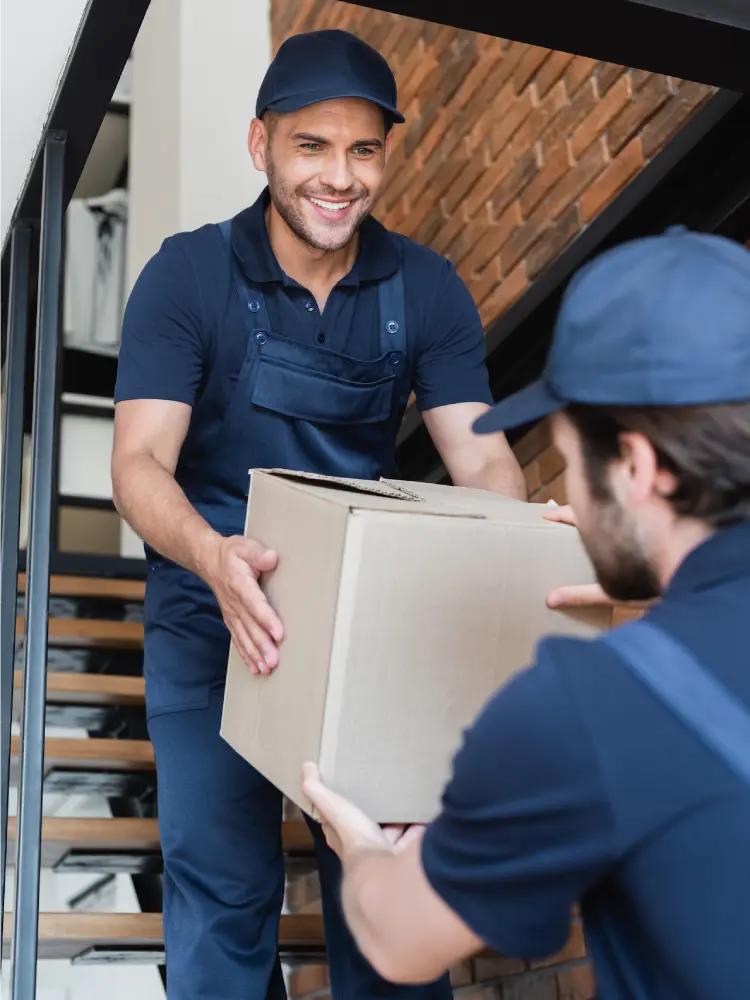 Mudanzas locales y nacionales